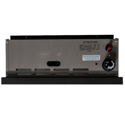 Rinnai R Series 24,000 BTU Electric/Natural Gas Fan Wall Insert
